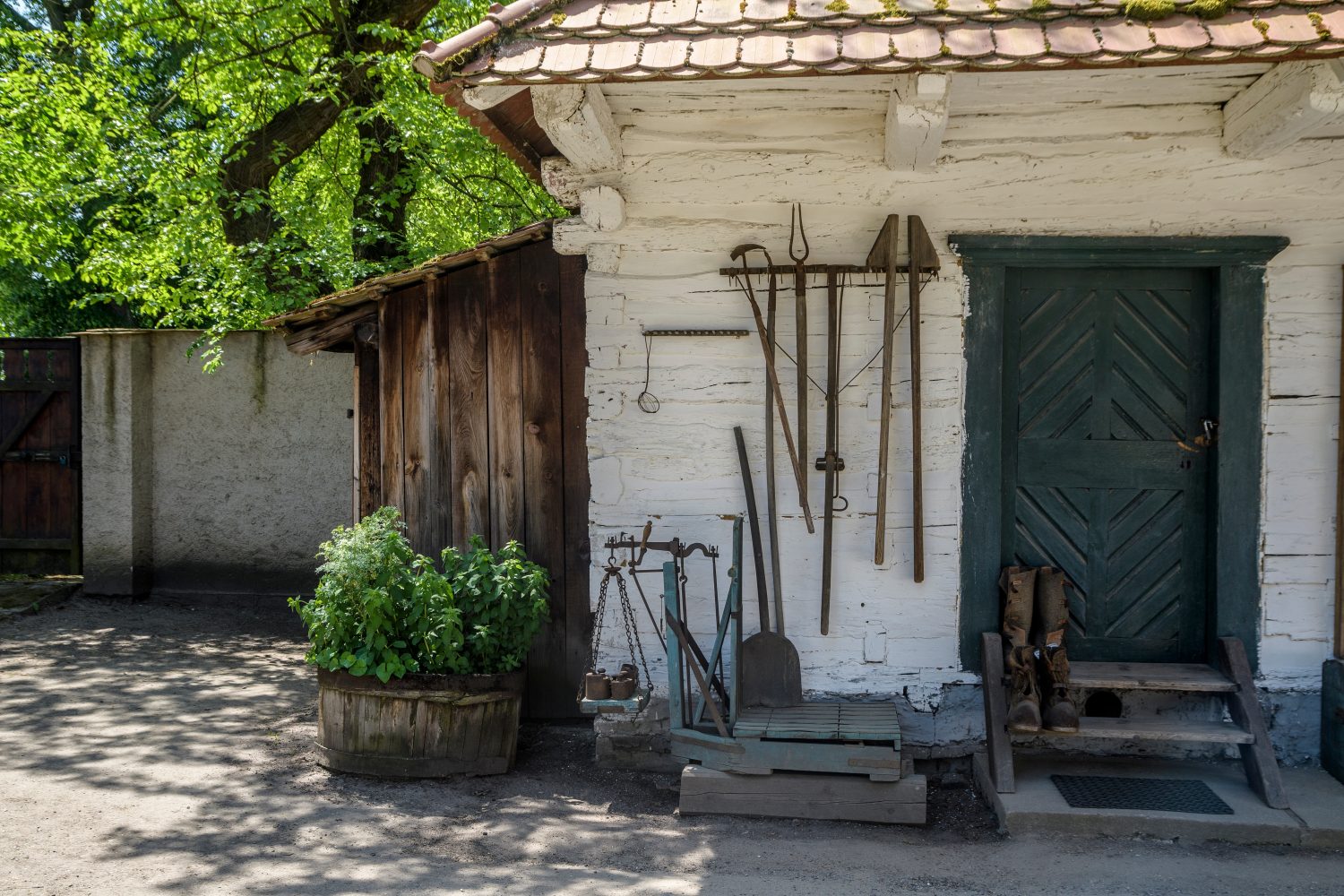 vstupní dveře s trámovou zárubní